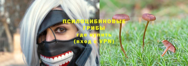 трава Арсеньев