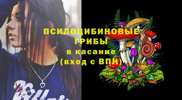 амф Аркадак