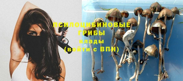 тгк Армянск