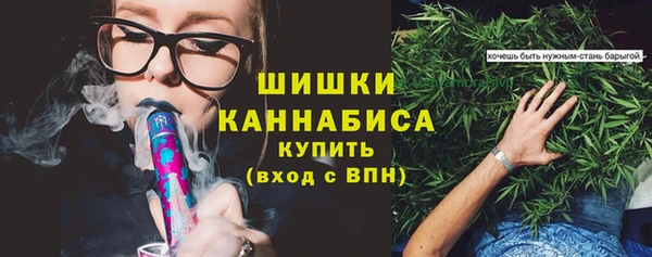 трава Арсеньев